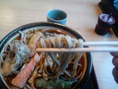 田舎そば たちばな: 飼い猫の銀太さんの2011年03月27日の3枚目の投稿写真