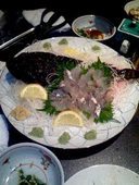 勇旬 いか太郎: 飼い猫の銀太さんの2008年02月08日の1枚目の投稿写真