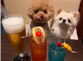 SHOT BAR BEST: いちごあめさんの2026年04月25日の1枚目の投稿写真