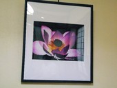 益元: みーさんの2007年07月15日の3枚目の投稿写真