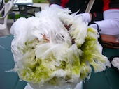 カフェ・アウル: みーさんの2012年06月09日の2枚目の投稿写真