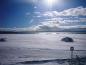 TARO CAFE: みーさんの2009年02月28日の3枚目の投稿写真