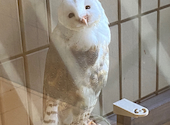ダイニングカフェチグサ: キョロちゃんさんの2026年08月23日の3枚目の投稿写真