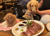 お肉と牡蠣のお店 CARTA 池袋店: Cherylさんの2024年05月16日の2枚目の投稿写真