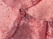 炭火焼肉　萬まる　西条店: ぞうさんさんの2026年04月の1枚目の投稿写真
