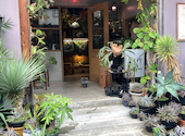 cafe Lama カフェ ラマ: ゆっちさんの2026年09月14日の2枚目の投稿写真