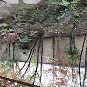 梅の花 福山店: ちゃーちゃんさんの2016年11月22日の1枚目の投稿写真