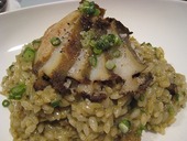 ラ・カーラ: 退会済みユーザーさんの2010年06月28日の2枚目の投稿写真