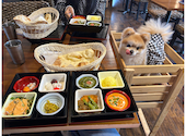 古民家彼方　レストラン＆カフェ・ドッグラン　: 純さんの2024年04月の1枚目の投稿写真