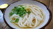 なかむらうどん: ぴょん子さんの2008年04月28日の2枚目の投稿写真