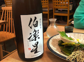 榴岡 銀杏: みきてぃさんの2026年09月28日の2枚目の投稿写真
