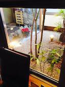 あじ彩 松山: きららさんの2015年02月20日の1枚目の投稿写真