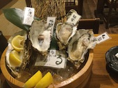 牡蠣海鮮料理 かき家 こだはる 新橋店: ひろさんの2018年05月22日の1枚目の投稿写真
