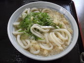 さぬきうどん職人めりけんや 高松駅前店: ibokororiさんの2014年01月15日の1枚目の投稿写真