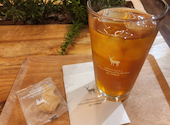 TNOC THE CAFE SAPPORO T4 ティーノックザカフェサッポロティーフォー: 結花ノワール7さんの2026年09月02日の2枚目の投稿写真