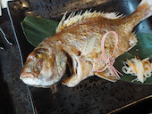 梅の花 おおたかの森店: Rinakoさんの2018年09月08日の1枚目の投稿写真