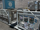 Cafe Crispy カフェクリスピー 豊田 日野: ちひちゃんさんの2026年07月09日の3枚目の投稿写真