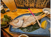 貝と魚と炉ばたのバンビ: 銀猫さんの2026年05月13日の1枚目の投稿写真