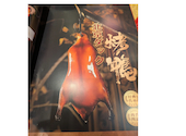 北京ダック 北京火考鴨店 ペキンカオヤー店 上野店: MITSUさんの2026年06月14日の1枚目の投稿写真