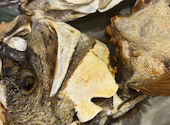 船から直送!朝獲れ鮮魚 アカマル屋鮮魚店 大宮すずらん通り店: きなこさんの2026年04月24日の2枚目の投稿写真