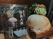 ダイナミックキッチン＆バー 響 中之島フェスティバルプラザ店: はなちゃんさんの2025年02月の1枚目の投稿写真