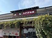 ハトマメ屋の口コミ画像1