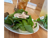 Cafe Restaurant Apaiser アペゼ: wkyさんの2026年04月16日の1枚目の投稿写真
