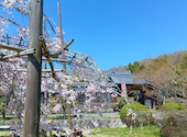 和食 懐石 がんこ 三田の里: memiさんの2026年04月10日の3枚目の投稿写真