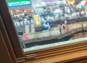 白木屋 道頓堀店: ひでさんさんの2026年06月29日の2枚目の投稿写真