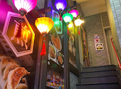 台湾酒場 台北餃子館 東戸塚駅前店: デールさんの2023年06月03日の1枚目の投稿写真