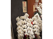 天吉: あさほさんの2026年05月19日の3枚目の投稿写真