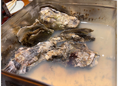 海賊料理と牡蠣の店 村上海賊 広島駅エキエ広島店: もつこさんの2026年05月28日の1枚目の投稿写真