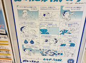 あっ晴れ 札幌: bbo3さんの2026年05月23日の1枚目の投稿写真