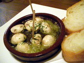 アレグリア ALEGRIA: samanthaさんの2009年04月09日の3枚目の投稿写真