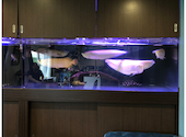 AQUA DINING CAFE 瓢黎 ひょうれい : ムーミンさんの2023年08月02日の3枚目の投稿写真
