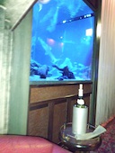 サントリーバー&ダイニング 水響亭: pinkmomoさんの2012年11月23日の3枚目の投稿写真