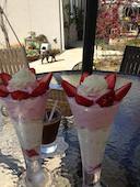 オルソンさんのいちご: ゆこさんの2016年12月07日の1枚目の投稿写真