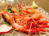 地鶏料理と旬魚 居酒屋 楽いち: こまちゃんさんの2025年10月11日の2枚目の投稿写真