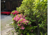 和食 懐石 がんこ 平野郷屋敷: あけみこさんの2026年04月15日の3枚目の投稿写真