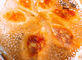 大連餃子基地 DALIAN ダリアン ららぽーと海老名店: ともちんさんの2026年05月09日の3枚目の投稿写真
