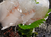お魚とお野菜　美菜魚: きょさんの2026年10月03日の3枚目の投稿写真