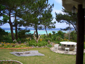 natural cafe haru: Haguさんの2008年07月30日の1枚目の投稿写真