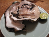 寅さん: 退会済みユーザーさんの2009年06月02日の3枚目の投稿写真