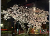 ピザハウスモッコ　東名川崎IC店: タクミンさんの2026年04月の1枚目の投稿写真
