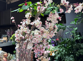 ティアラインローズ　フラワーアンドカフェ: Plus Ultraさんの2026年04月06日の2枚目の投稿写真