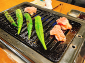 愛之助 心斎橋店: もふもふねこさんの2026年04月08日の1枚目の投稿写真