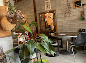 plant's cafe: メロンパンさんの2026年09月23日の2枚目の投稿写真