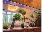 アクアリウム カフェ アフィニティ AQUARIUM CAFE Affinity: しずくさんの2024年05月04日の3枚目の投稿写真