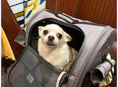 鹿鳴荘: みゆさんの2026年08月25日の2枚目の投稿写真