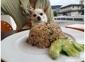 タイレストラン プアンタイ Puan Thai: みゆさんの2026年08月25日の1枚目の投稿写真